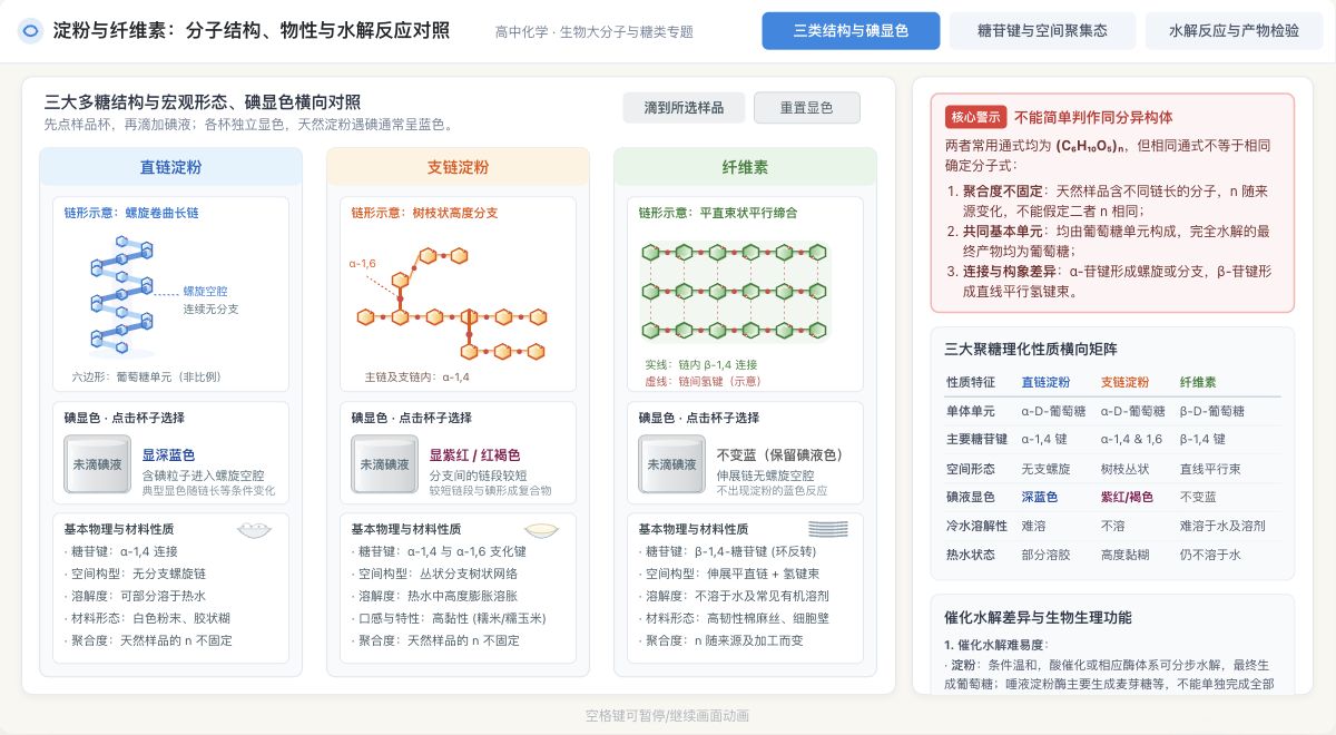 淀粉与纤维素：分子结构、物性与水解反应对照