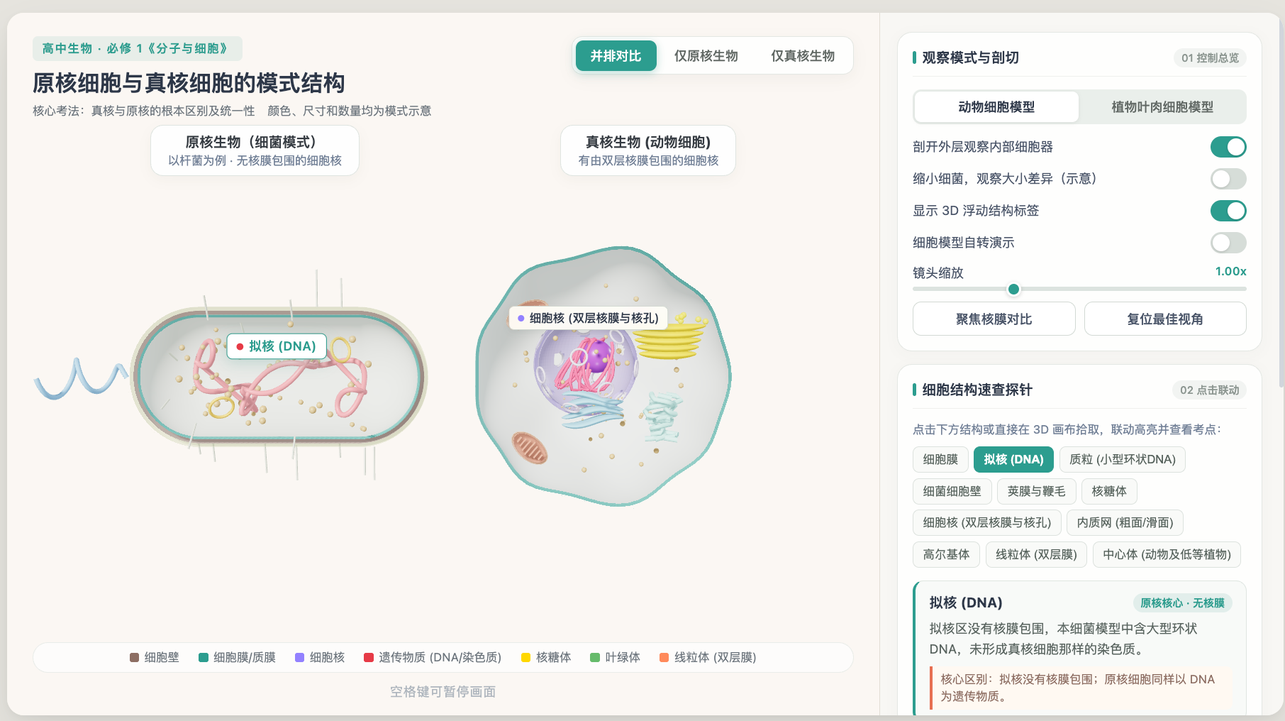 原核生物与真核生物的模式结构对比