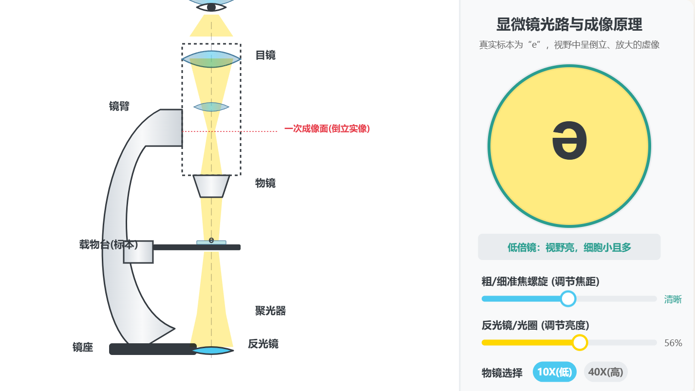 显微镜光路与成像原理