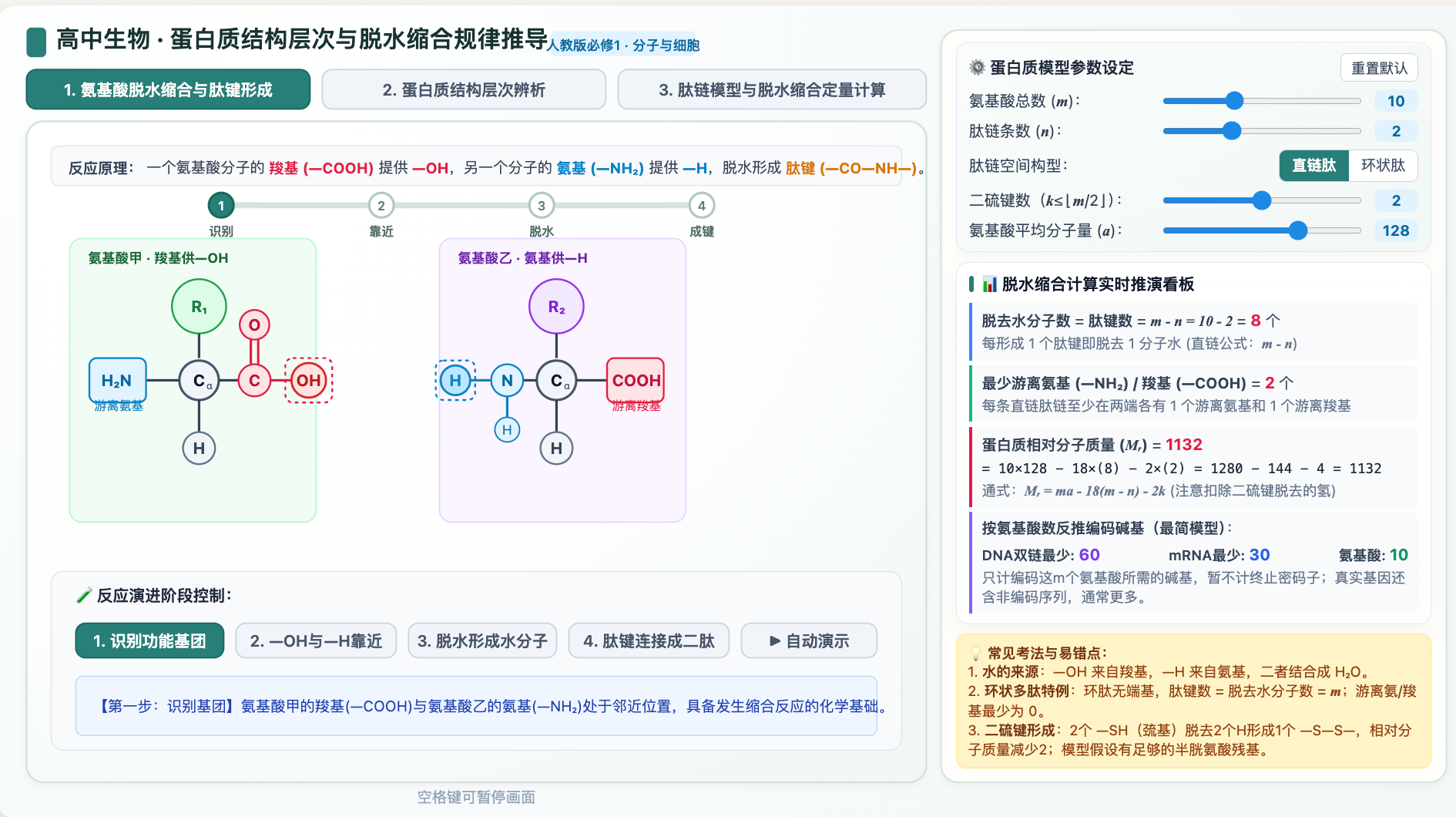 蛋白质结构层次与脱水缩合规律推导