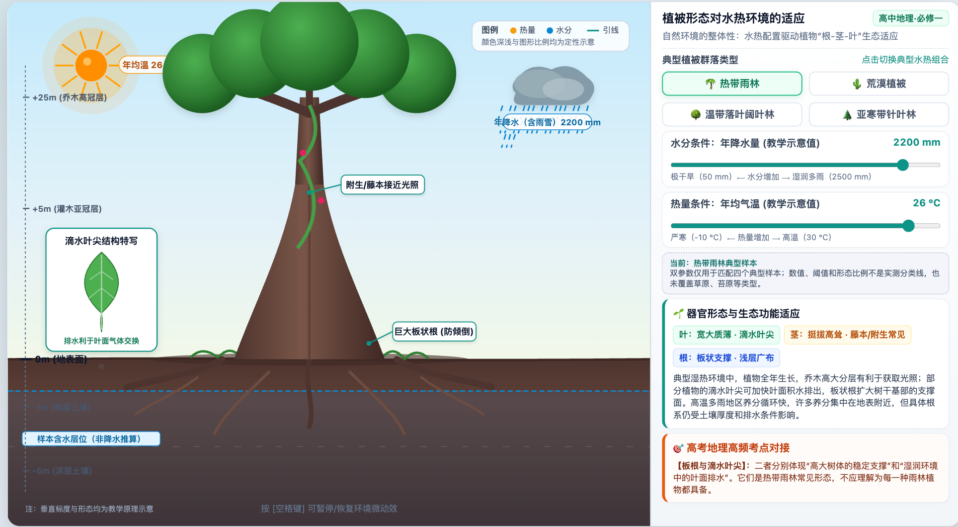 植被形态对水热环境的适应
