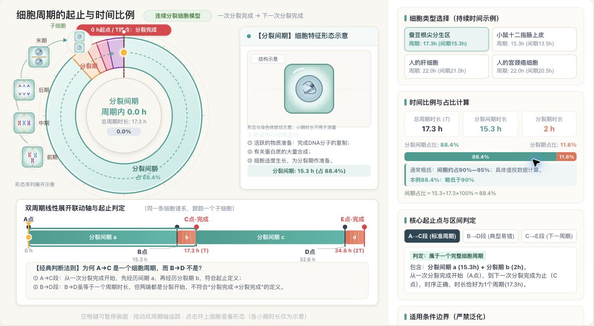细胞周期的起止与时间比例