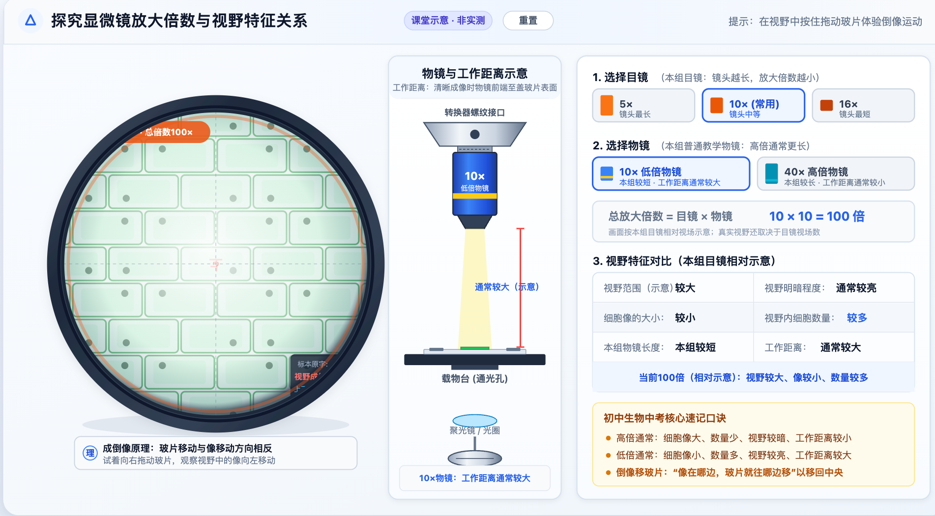显微镜放大倍数与视野关系